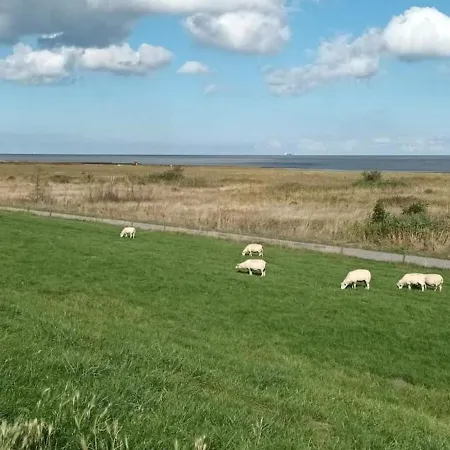 Schoenes Familien Und Hunde-freundliches In Strandnaehe, Sehr Ruhige Zentrale Lage Holiday home Butjadingen